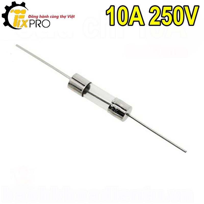 Cầu chì thủy tinh 10A 250V 5x20mm hàn chân