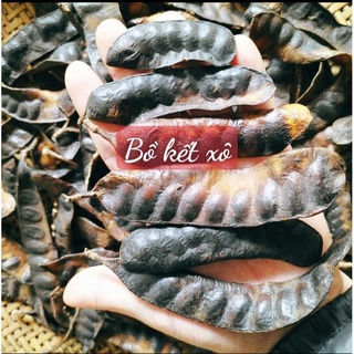 BỒ KẾT KHÔ (BỒ KẾT TỰ NHIÊN)