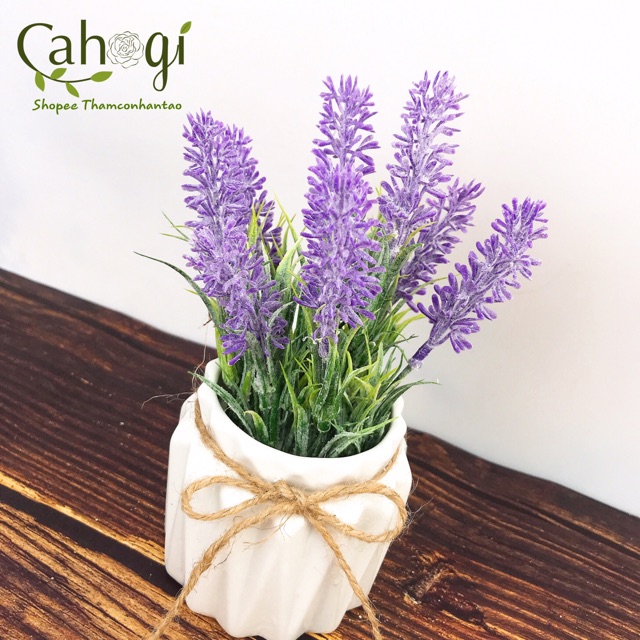 Chậu Hoa Giả Để Bàn Mini - Lavender Cắm Sẵn