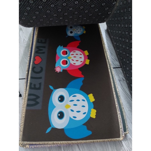 THẢM LAU CHÂN 3D HÌNH THỨ CHỐNG TRƠN TRƯỢT 40x60CM