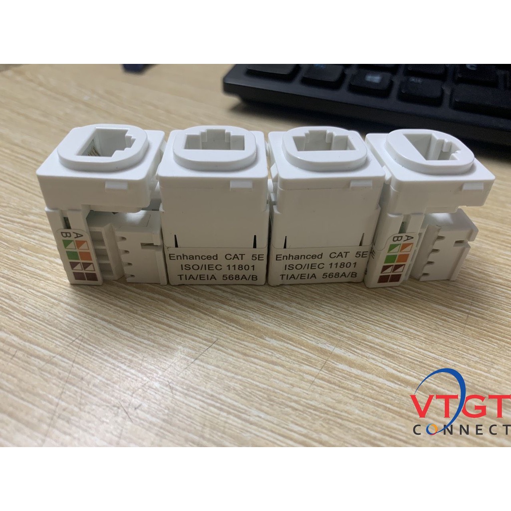 Nhân mạng âm tường Sino Cat5e