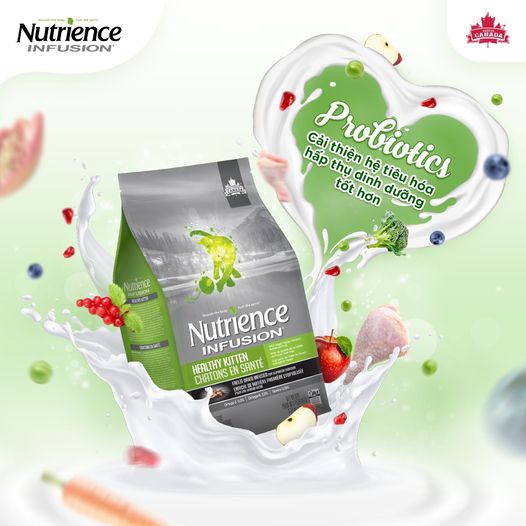 [2.5kg] Thức ăn hạt cao cấp Nutrience Subzero Valley cho mèo mọi giống mọi tuổi - Nutrience Original