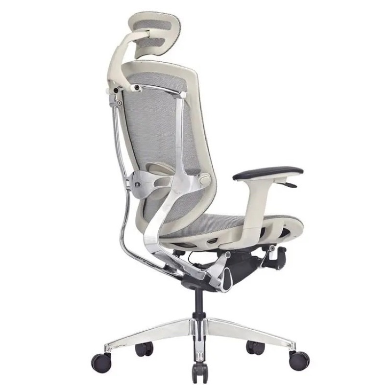 Ghế Công Thái Học Dvary Marrit X / Lưới - Đen / Tay 5D 2022