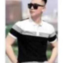 Áo Thun POLO Nam Tay Ngắn Thêu Logo AREMI Cao Cấp Thoáng Mát Co Dãn Tốt ARPL05