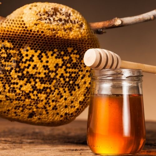 Mật ong  nguyên chất hoa cà phê Đặc sản Tây Nguyên True Nuts - nguyên chất 100% bao test