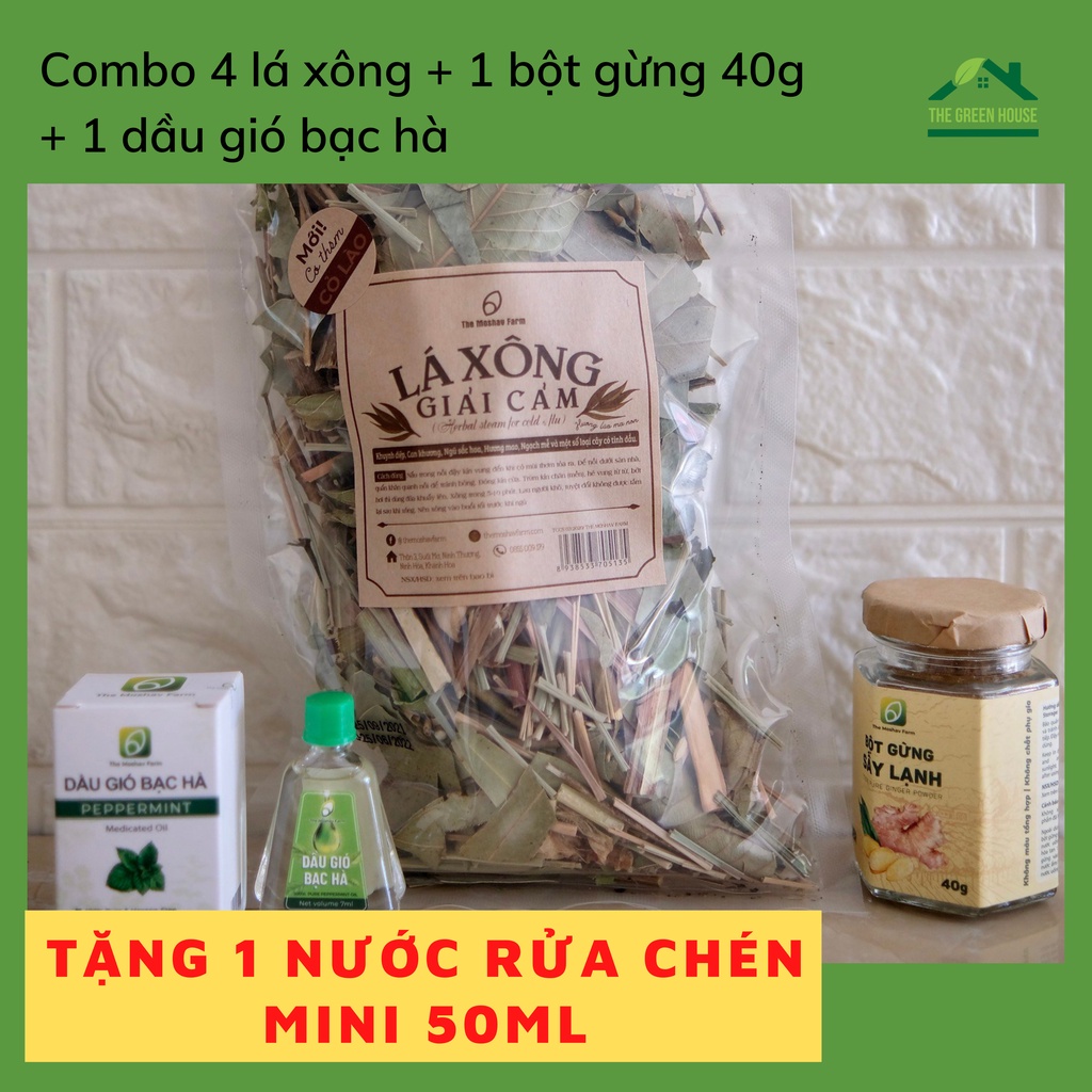 Combo giải cảm - 4 Lá xông, 1 Bột gừng 40g, 1 hộp Dầu gió bạc hà The Moshav Farm tặng nước rửa chén 50ml