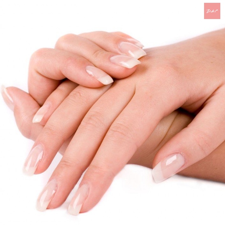 Bộ bấm móng tay 12 món đa năng