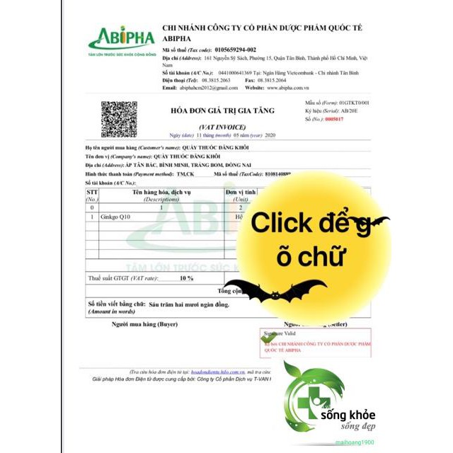 Bổ Não Ginkgo Q10- hỗ trợ tăng cường tuần hoàn máu não
