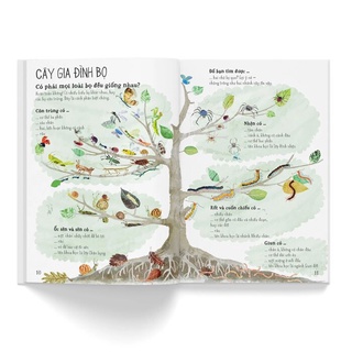 Sách- A Lê Hấp! Thế Giới Bọ