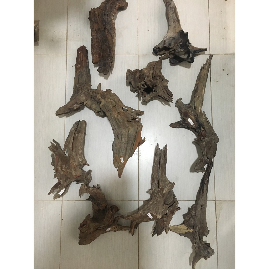 Gỗ lũa cho bể thủy sinh, bể cá kích thước vừa và nhỏ