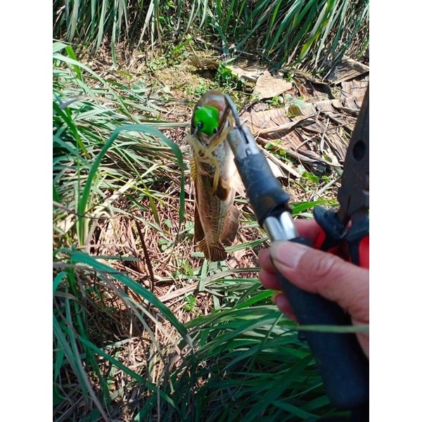 Nhái Hơi F69 Sét Chấm Bi