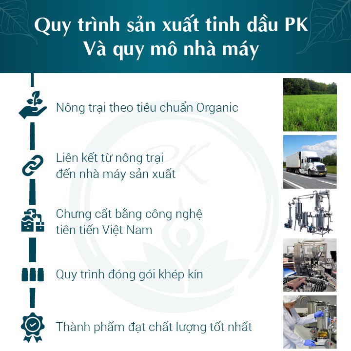 Lọ treo ô tô tinh dầu Quế PK, treo tủ, treo quạt khử mùi