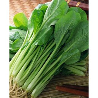 Hạt giống Cải ngọt cọng xanh (20gr)