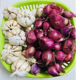 Hành tím củ- củ hành tím - hàng Việt Nam