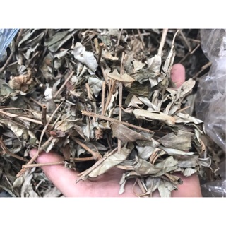 1 kg Cây khổ sâm