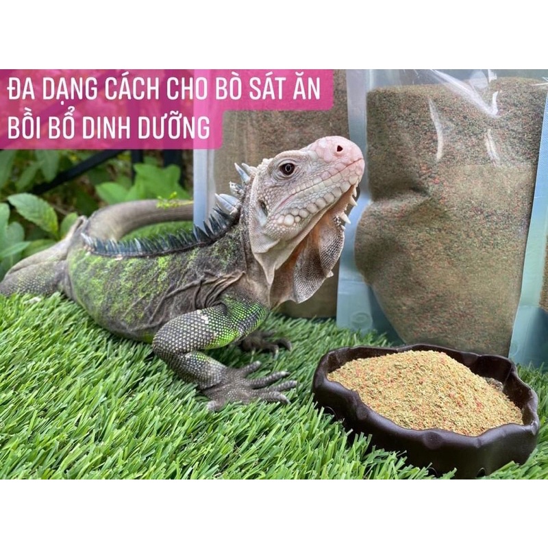 JAPTOR FOOD BỘT KHÔ DINH DƯỠNG CỦA Rồng Nam Mỹ IGUANA, RÙA CẠN SULCATA, BÒ SÁT NÓI CHUNG...
