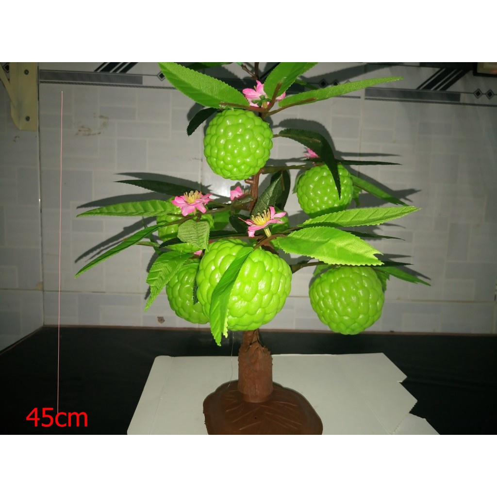 Cây na giả cao 45cm