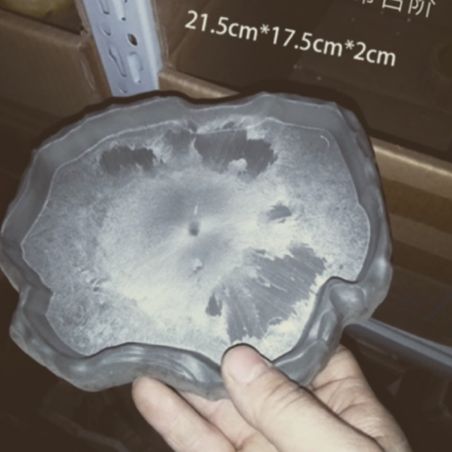 Máng ăn nhựa size trung