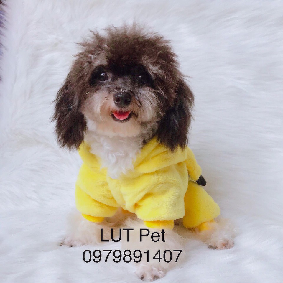 Quần áo cho chó mèo mùa đông Pikachu cute Full size - lutpet