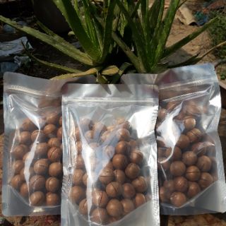 Macca túi zip 500gram