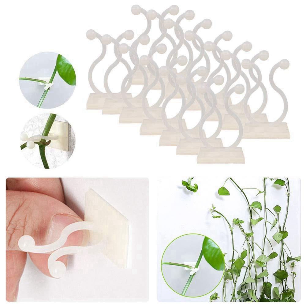 Bộ 10 / 20 / 50 / 100 Kẹp Cố Định Giữ Cố Định Cây Leo Gắn Tường