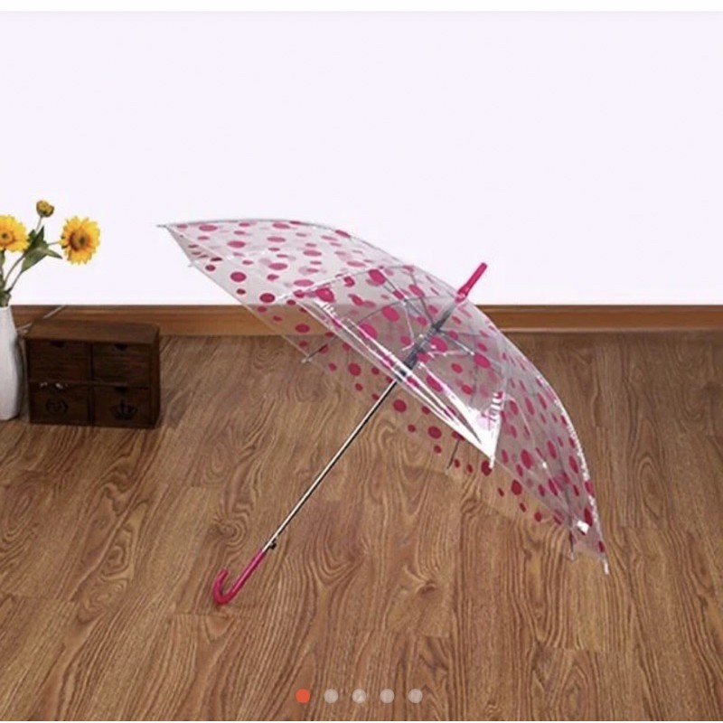 dù trong hàn quốc