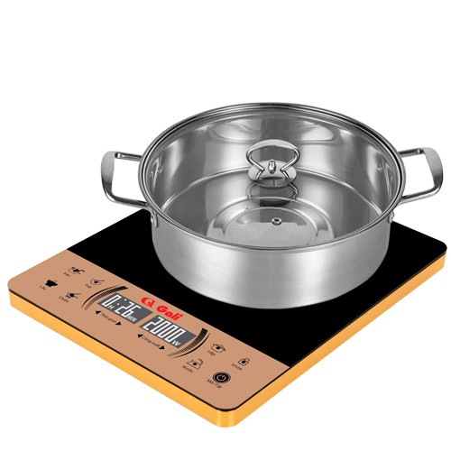 Bếp điện từ Gali GL-2022