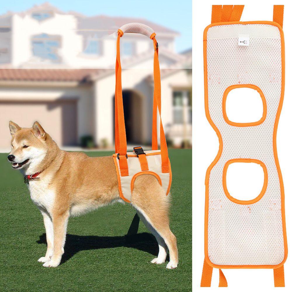 Đai Đeo Chân Hỗ Trợ Nâng Thú Cưng Tiện Dụng Chất Lượng Cao