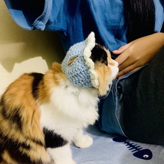 Mũ - Yếm len handmade cho mèo cute🧶🧵