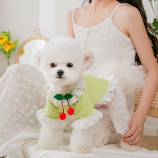 Áo thun dễ thương cho thú cưng