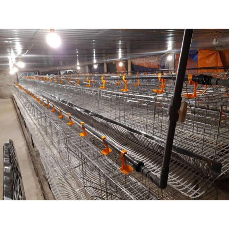 Máng uống cho gà loại núm uống tự động