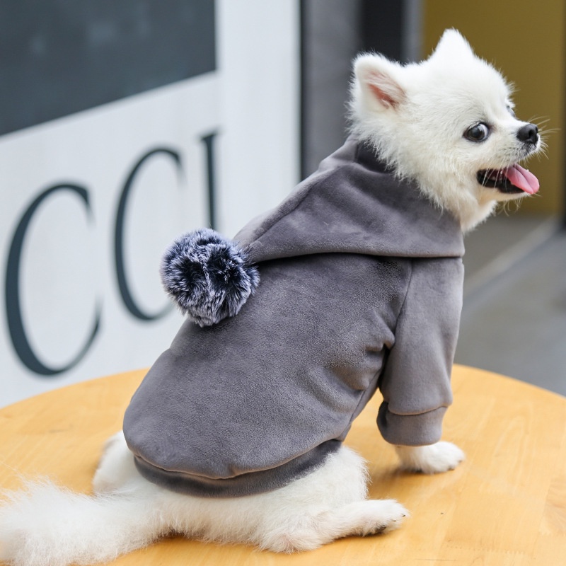 Áo mùa đông cho chó mèo áo hoodie nỉ có mũ lót lông cừu mịn hàng cao cấp
