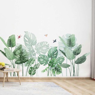 Tường trang trí xương rồng cây xanh tường decal hình nền