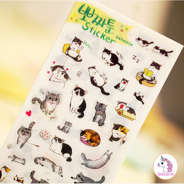 Bộ 6 tấm sticker hình mèo xám siêu đáng yêu