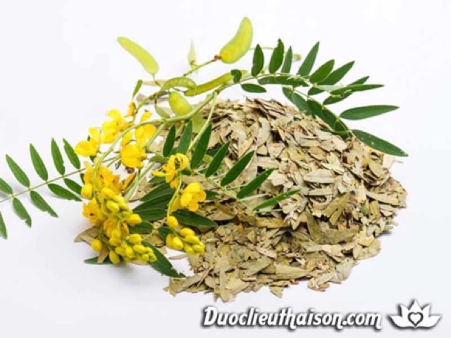 1 Kg Phan tả diệp giúp nhuận tràng, giảm cân, giảm béo