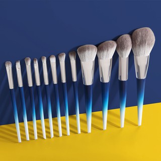 12 PCS Cọ trang điểm，Cọ trang điểm  đa năng cao cấp chuyên dụng，Cọ Trang Điểm Lông Siêu Mềm Thiết Kế Nhỏ Gọn （2 màu có sẵn））MAGEFY