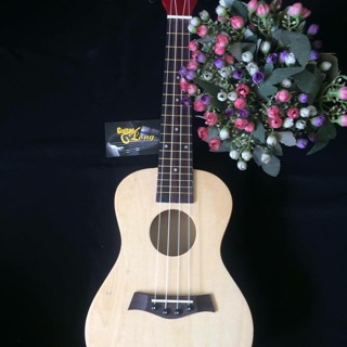 Đàn ukulele concert