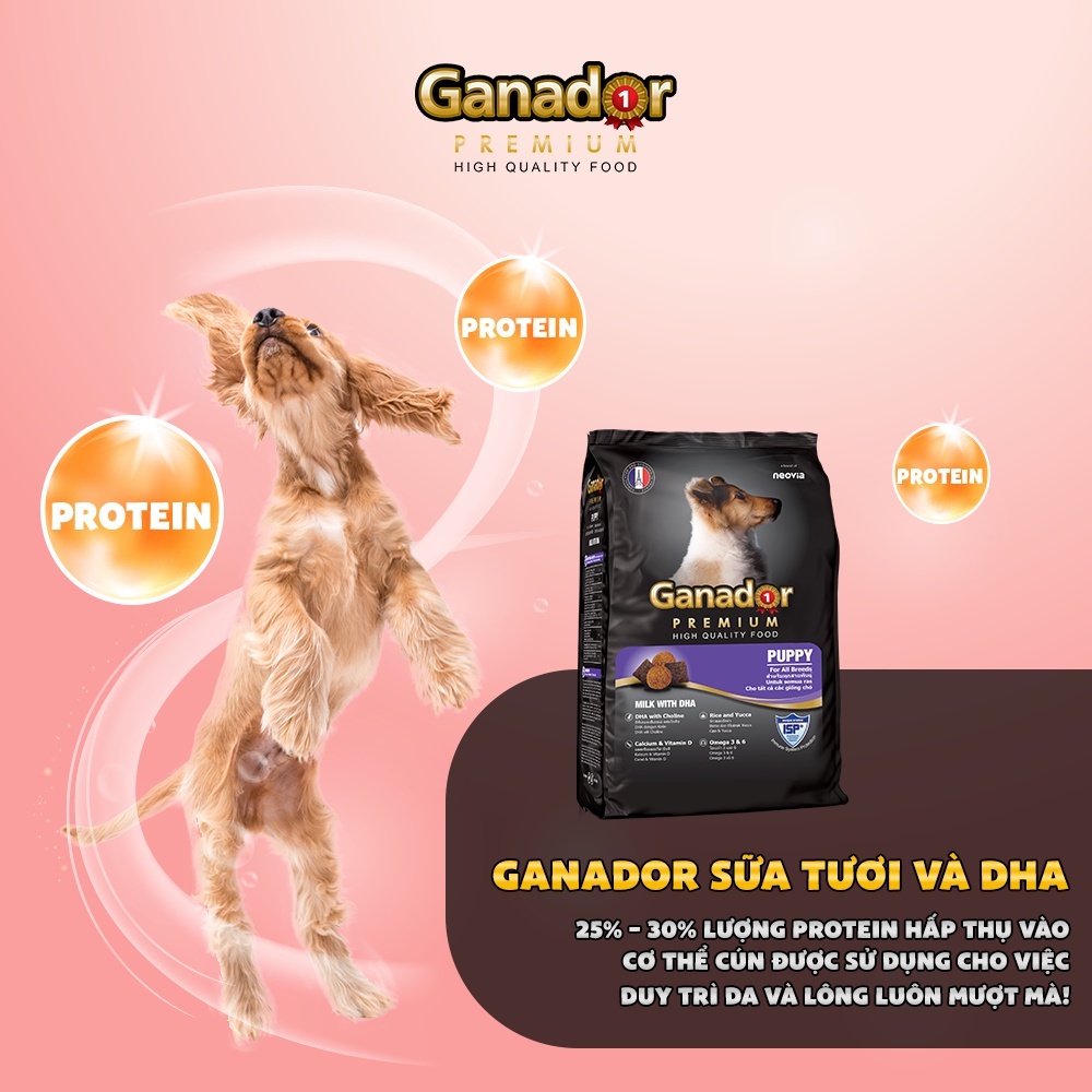 Thức ăn hạt cho chó Gói 400gr Thức ăn cho chó Ganador - FIB's - adult - puppy