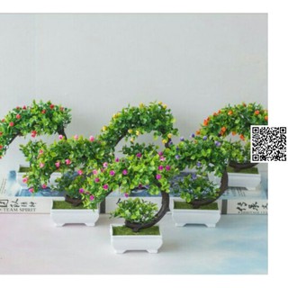 Chậu mini CÂY GIẢ BONSAI 482