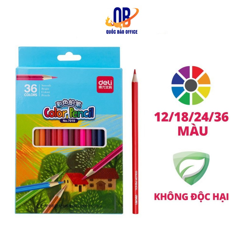 Bút chì màu học sinh Deli - 12 màu/18 màu/24 màu/36 màu - 7016/ 7017/ 7018/ 7019