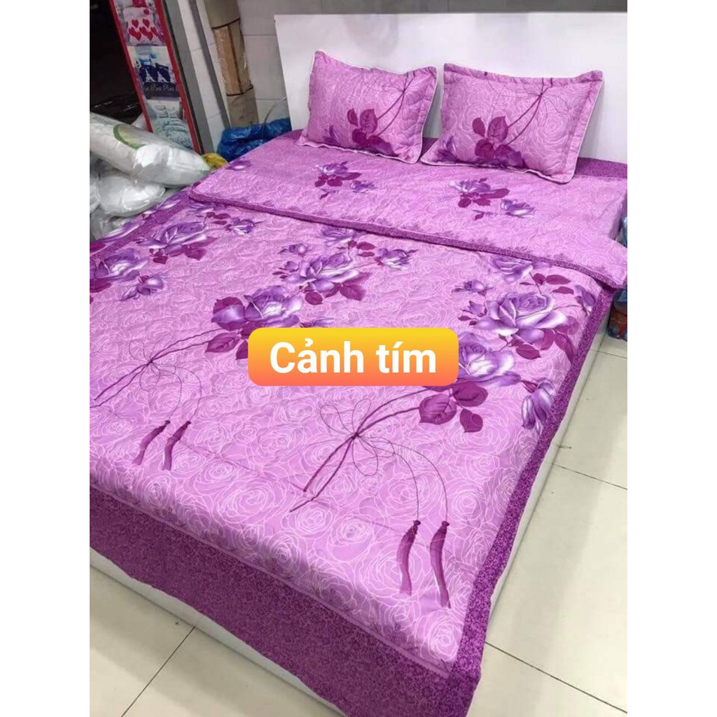Bộ 5 Món Chăn Ga Gối Nệm Gam Màu Tươi Sáng Nổi Bật