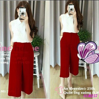 Set bộ công sở - httsb17