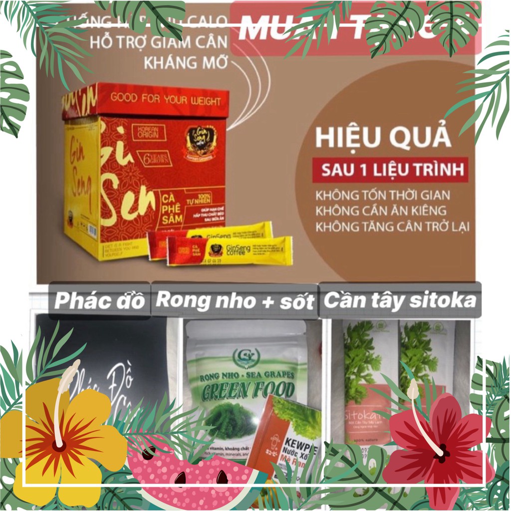 CÀ PHÊ SÂM GINSENG ( 1hộp 30 gói tặng kèm cẩm nang )