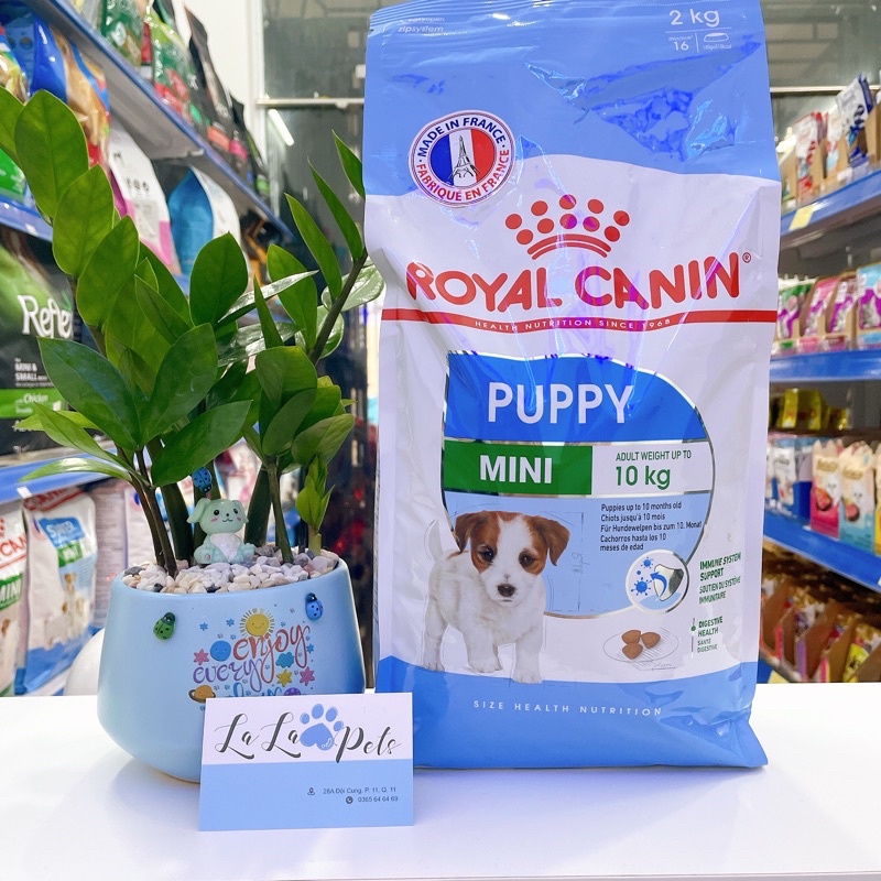 Hạt Royal Canin Mini Puppy cho chó con cỡ nhỏ