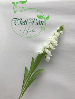Hoa giả hoa lụa- Cành Hoa Phi Yến 90cm đủ màu ❤️