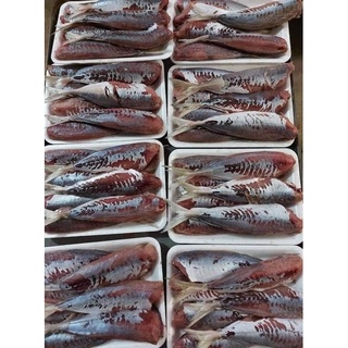 Cá nục 1 nắng, nục lột ; 500 gr