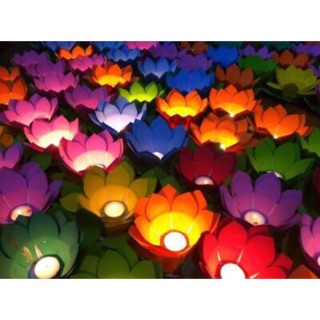 Combo Đèn hoa đăng thả sông 10 cái