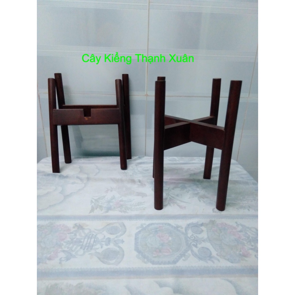 Kệ Gỗ Kê Chậu Cây Cảnh, Đôn Đê Chậu Hoa, Giá Đỡ Gỗ, Kích Thước Cao 24x Rộng 20, Lọt Lòng 16cm, Cây Kiểng Thạnh Xuân