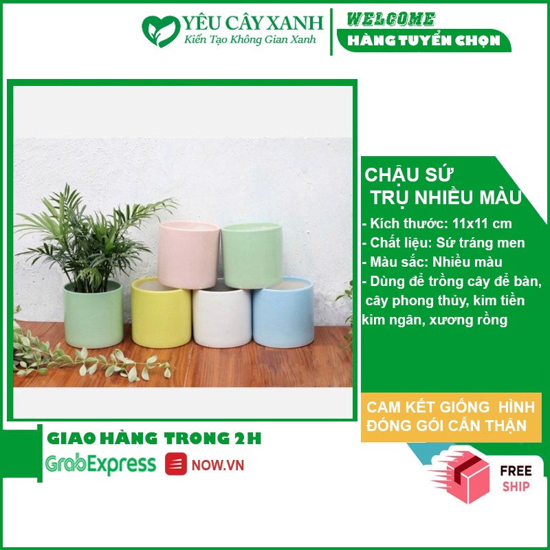 Chậu Trụ 11x11cm Trồng Cây Để Bàn, Cây Phong Thủy