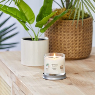 Nến thơm Yankee Candle Signature